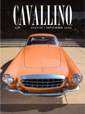 CAVALLINO N.238