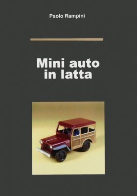 MINI AUTO IN LATTA
