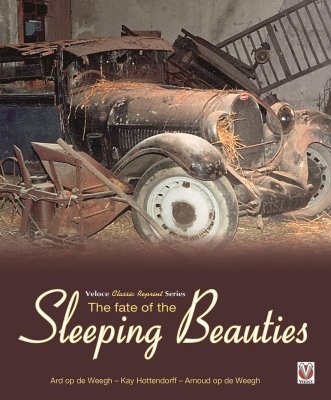 THE FATE OF THE SLEEPING BEAUTIES - PAPERBACK