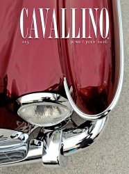 CAVALLINO N.213