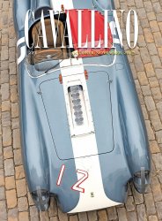 CAVALLINO N.221