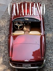 CAVALLINO N.224