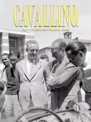 CAVALLINO N.241