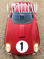 CAVALLINO N.246