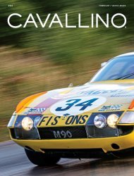 CAVALLINO N.253