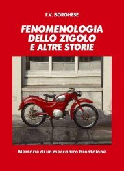 FENOMENOLOGIA DELLO ZIGOLO E ALTRE STORIE. MEMORIE DI UN MECCANICO BRONTOLONE.