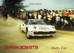 FERRARI 308 GTB RALLY CAR