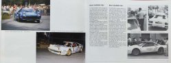 FERRARI 308 GTB RALLY CAR
